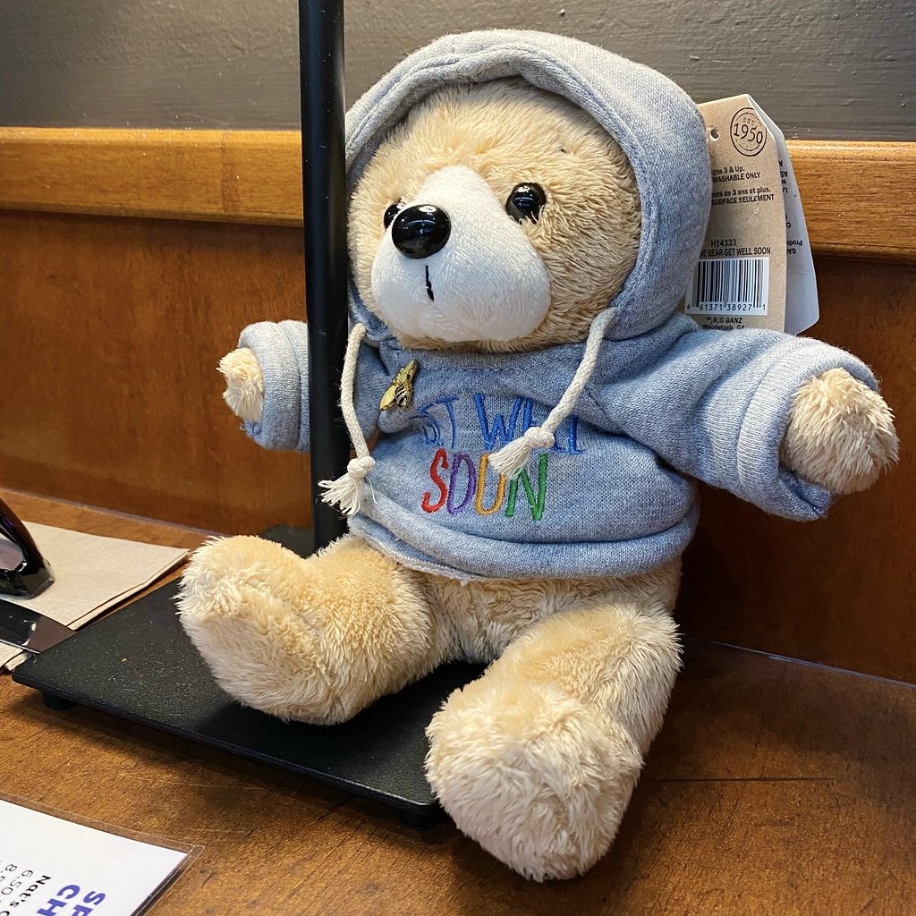 A fluffy light-brown teddy bear in a grey Get Well Soon hoodie sits on a black stand. — illustrating “Airline Approved Beauty” on Florence and Mary