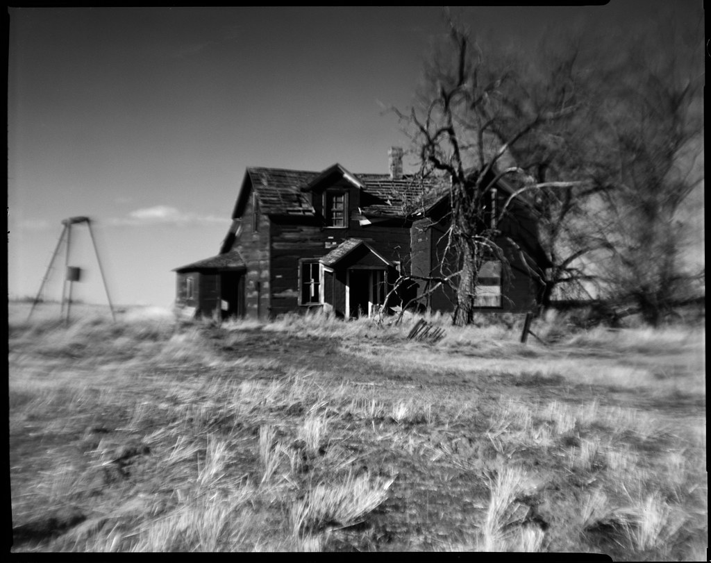 A black-and-white photo shows a dilapidated wooden farmhouse in tall grass beside a bare tree. — illustrating “April Empties Part One” on Florence and Mary