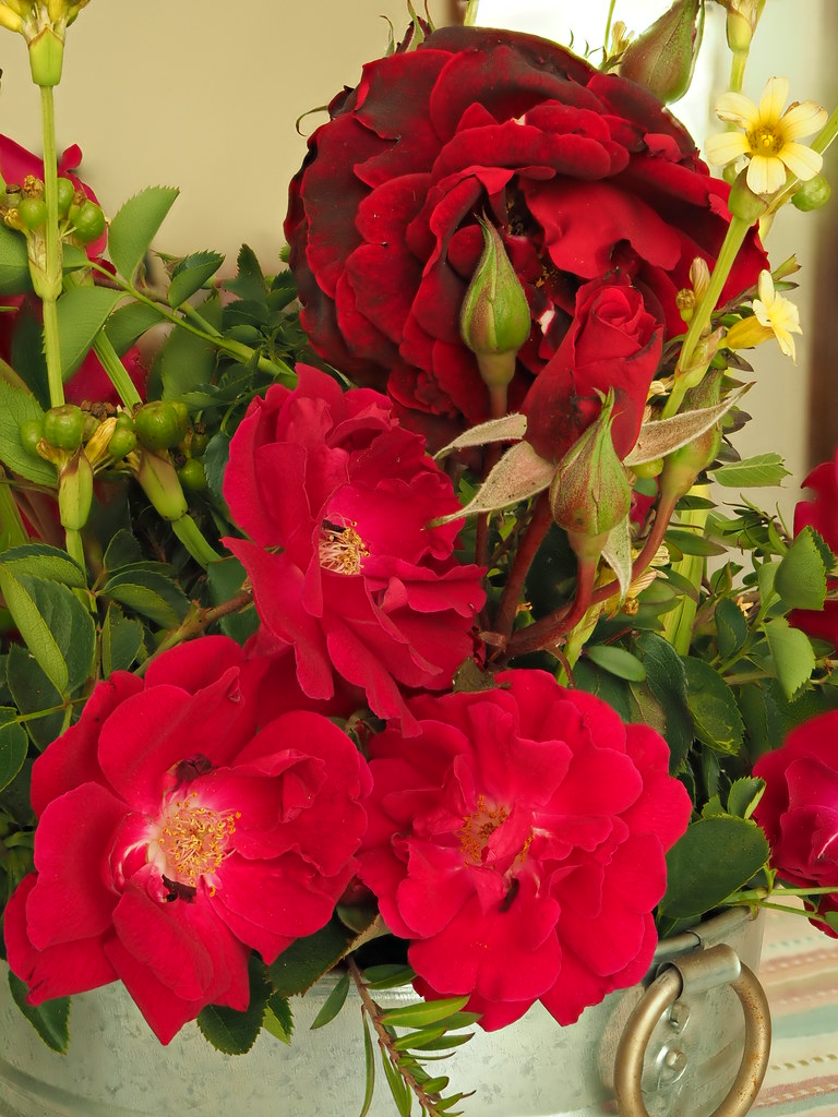 Lush red roses and yellow wildflowers overflow from a galvanized metal bucket against a soft beige wall. — illustrating “Faux Flower Florish” on Florence and Mary