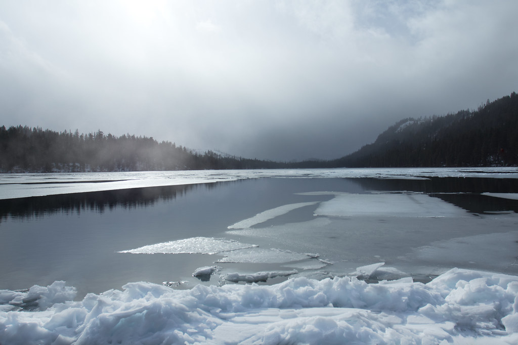 Large white ice fragments float on a partially frozen lake surrounded by dark pine forests under misty sky. — illustrating “February 2014 Empties” on Florence and Mary