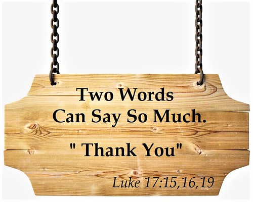 A light wooden sign hanging from dark chains displays Thank You text and a Luke scripture on white. — illustrating “Get ready for some Bloglovin” on Florence and Mary