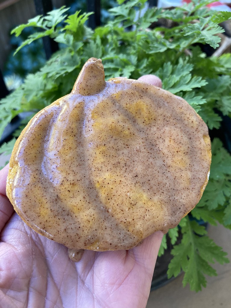 An open palm holds a glazed pumpkin-shaped cookie speckled with spice against blurred green leafy plants. — illustrating “Heather Bullard's Pumpkin Cookies” on Florence and Mary
