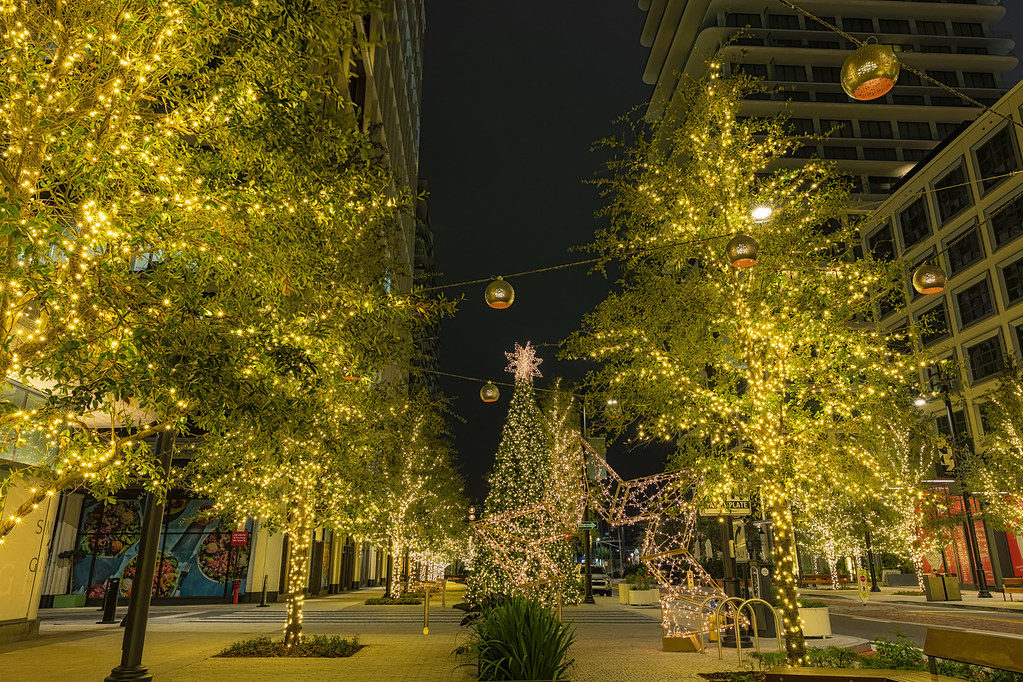 A night city walkway glows with yellow-lit trees, festive star sculptures, and a large Christmas tree. — illustrating “How I spend Christmas Tag” on Florence and Mary