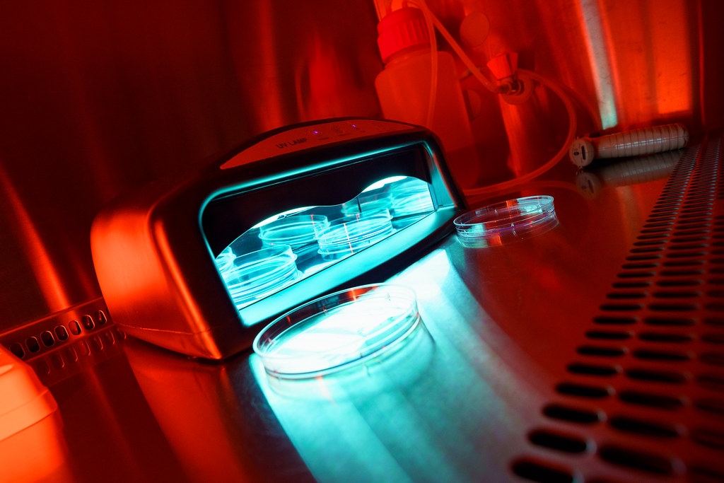 A black UV lamp casts teal light on petri dishes inside a lab hood bathed in intense red lighting. — illustrating “imPRess Nails | I'm converted” on Florence and Mary