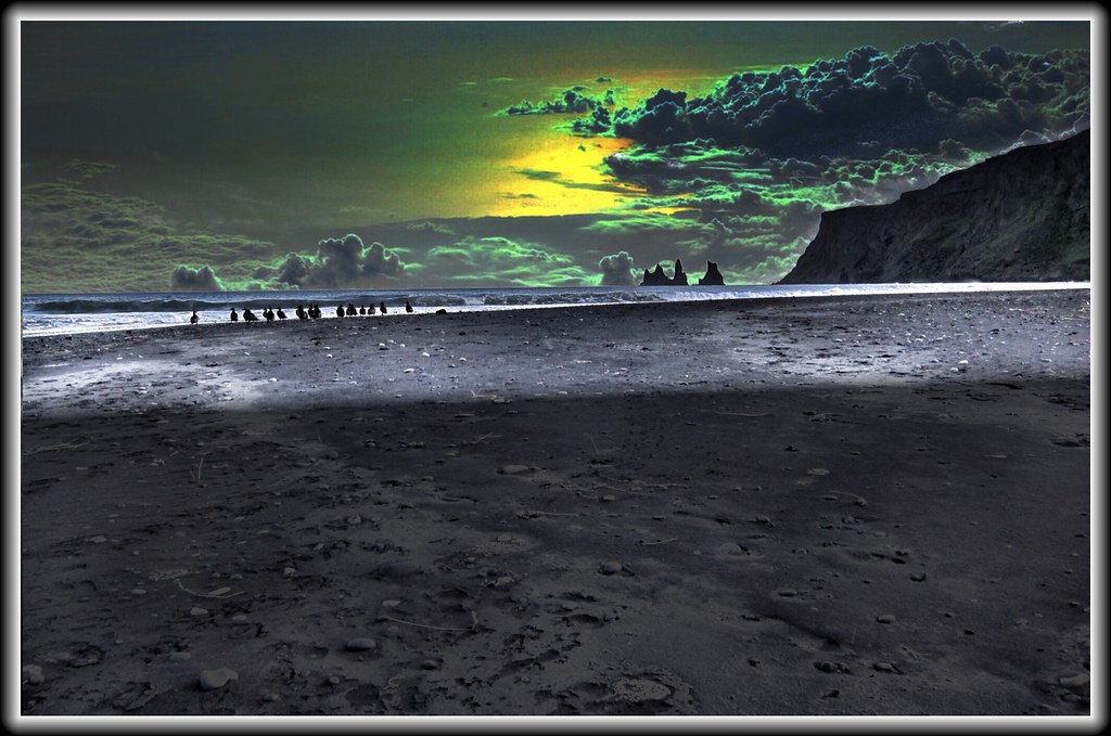 A line of birds stands on dark sand under a dramatic green and yellow sky with distant sea stacks. — illustrating “July Empties | Part 2” on Florence and Mary