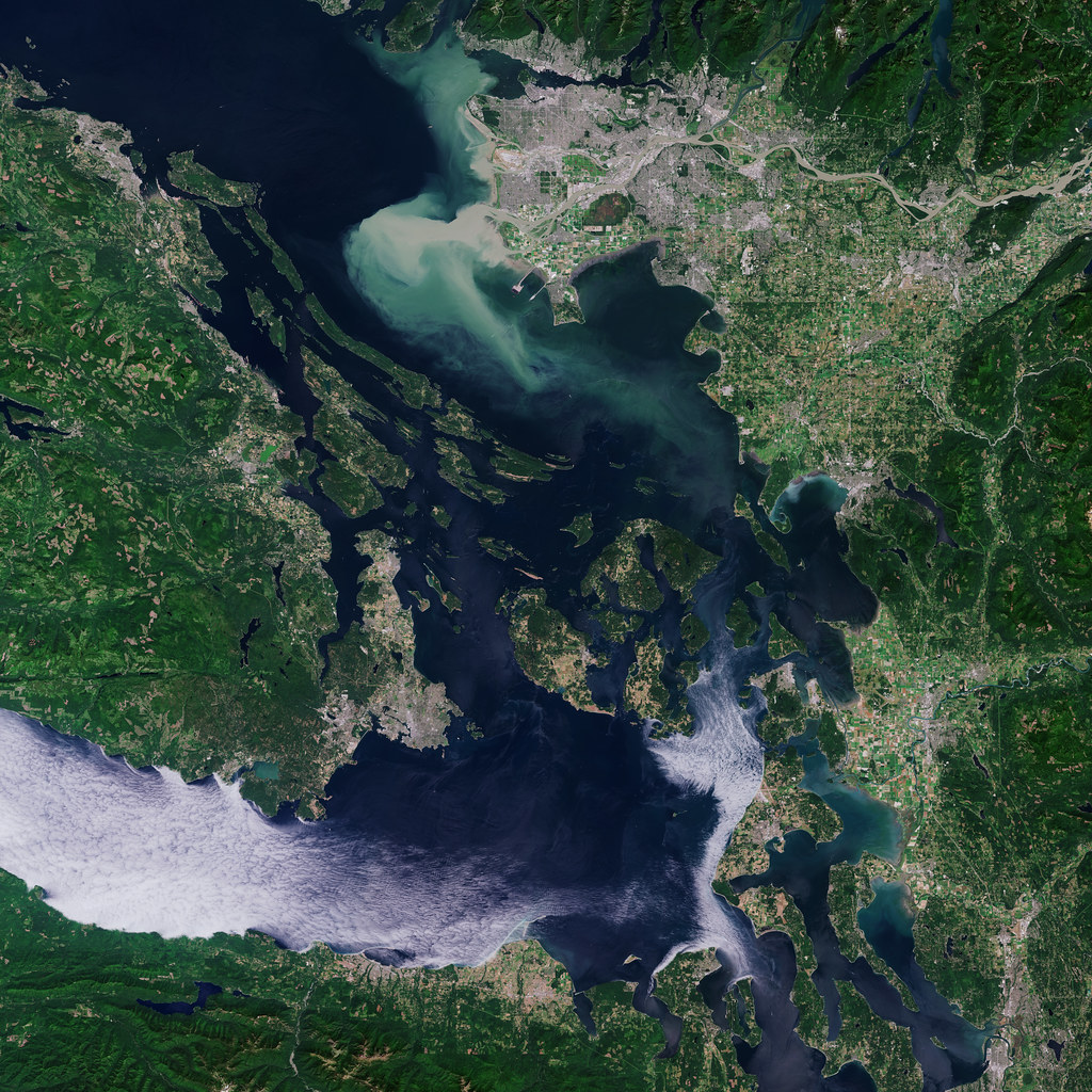 A satellite view shows a lush green coastline with dark blue water, a swirling sediment plume, and white fog. — illustrating “July Empties | Part 3” on Florence and Mary