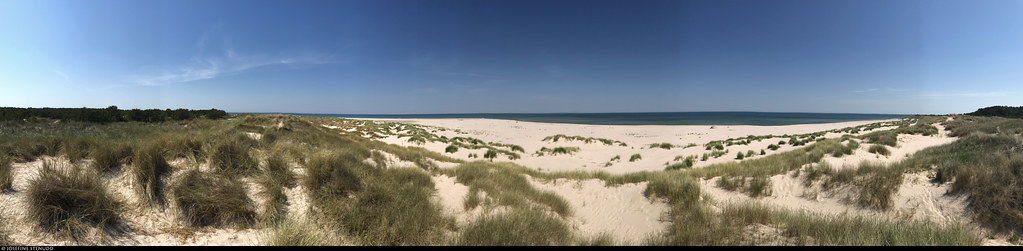Rolling white sand dunes with green beach grass meet a calm blue ocean under a clear blue sky. — illustrating “July Pay Day Haul” on Florence and Mary