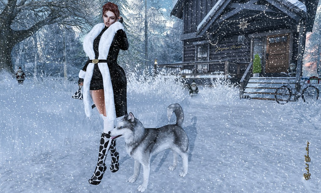 A woman in a fur-trimmed black coat walks a husky through snow toward a decorated rustic holiday cabin. — illustrating “Karl Largerfeld K Klassic Shoulder Bag Review” on Florence and Mary