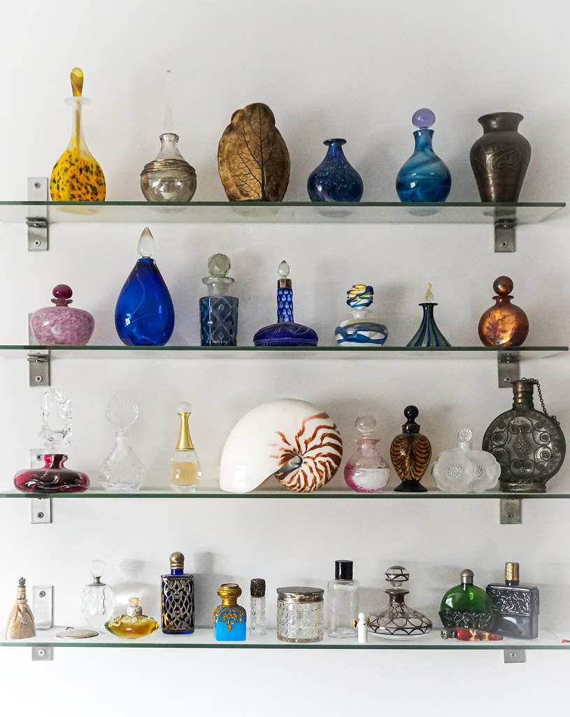 Four glass shelves display colorful uniquely shaped perfume bottles and a large nautilus shell on a white wall. — illustrating “Molecule 01 Fragrance Review” on Florence and Mary