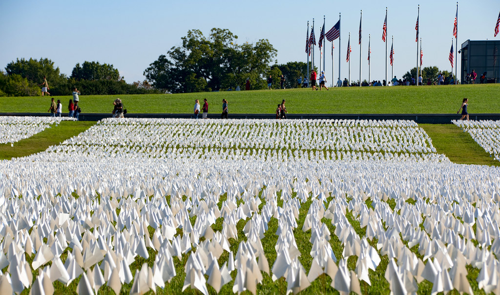 Thousands of small white flags in neat rows on green lawn with American flags on a hill. — illustrating “Products that didn't work for me” on Florence and Mary