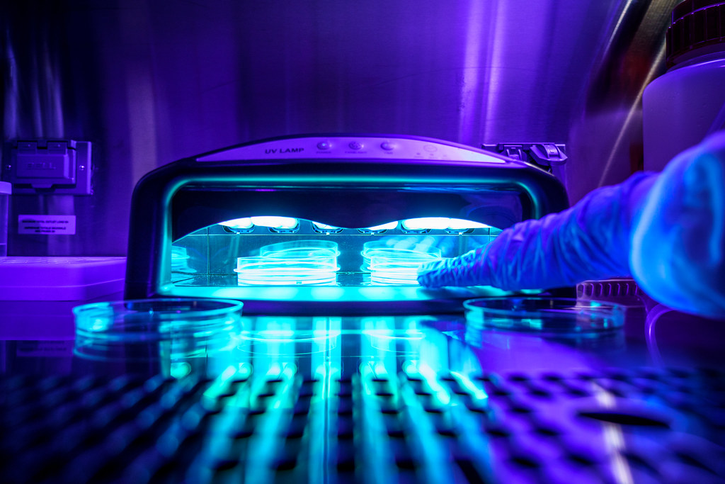 Gloved hand reaches into a black UV lamp with Petri dishes under intense purple blue light. — illustrating “Review // Leighton Denny Crystal Nail File” on Florence and Mary