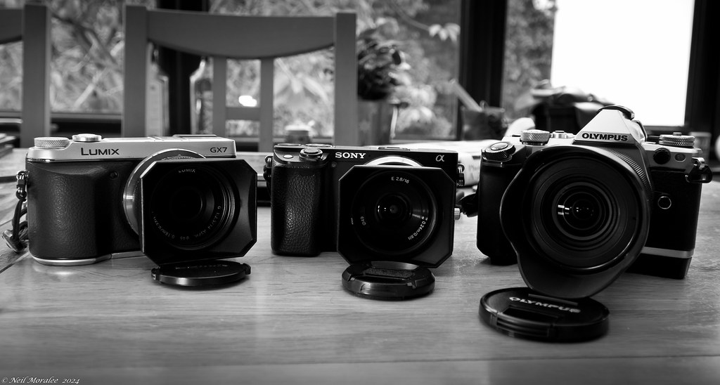 Black-and-white photo of Lumix, Sony, and Olympus digital cameras lined up on wooden table. — illustrating “Review // Sure Maximum Protection” on Florence and Mary