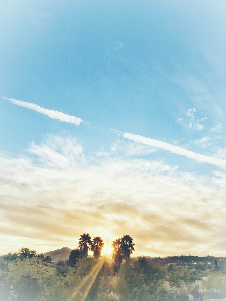 Hazy golden sunset behind silhouetted palms and hills with a white contrail across pale sky. — illustrating “The Beauty Blogger Tag | Part 2” on Florence and Mary