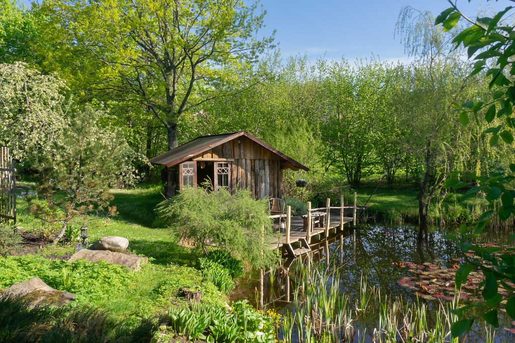 A rustic wooden cabin with open doors sits beside a lily-pad pond amid lush green foliage. — illustrating “You're having a Giraffe” on Florence and Mary